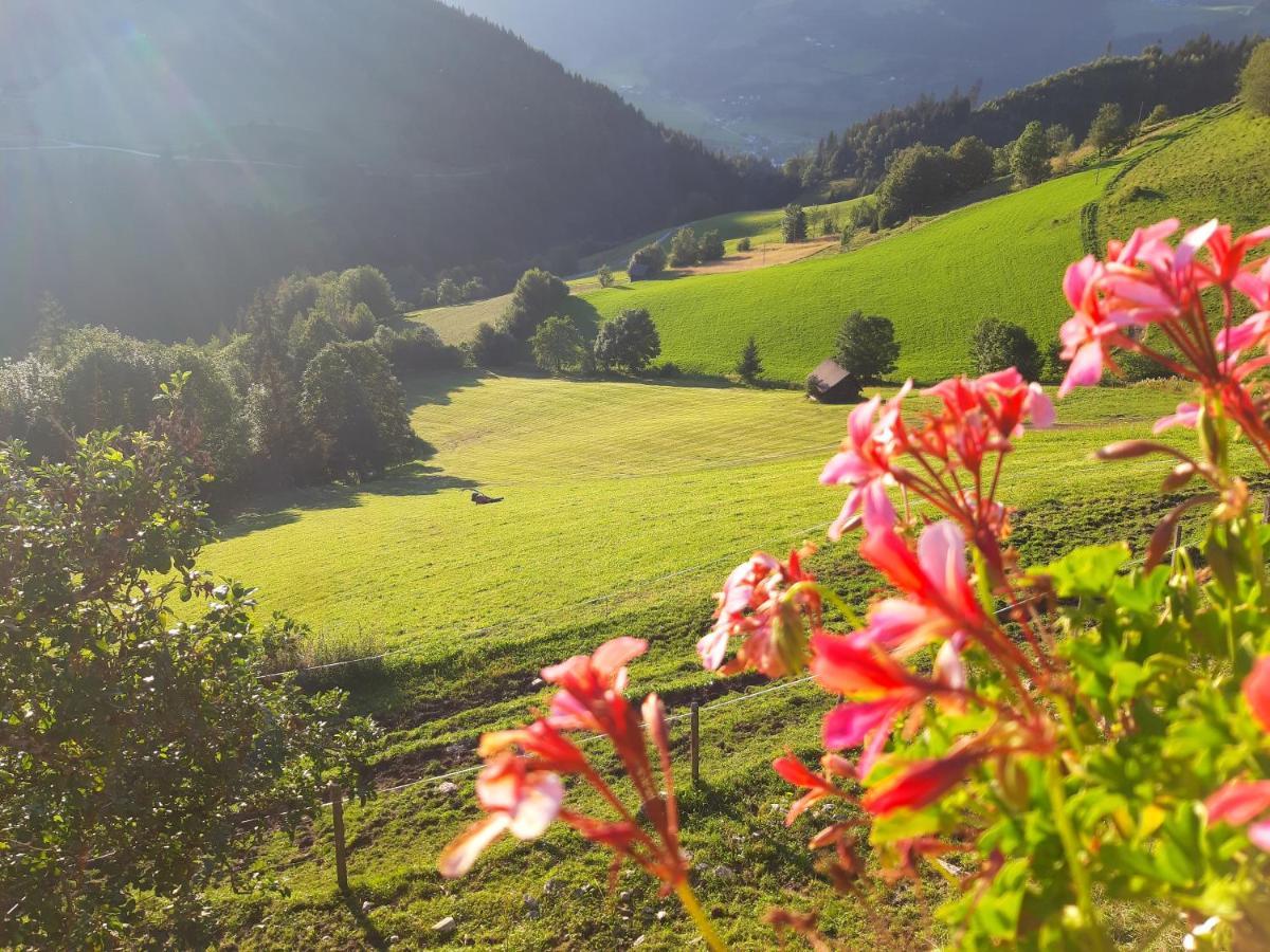 Schirfhof Villa Michaelerberg ภายนอก รูปภาพ